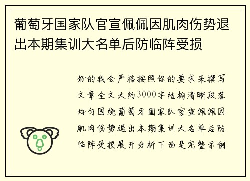 葡萄牙国家队官宣佩佩因肌肉伤势退出本期集训大名单后防临阵受损